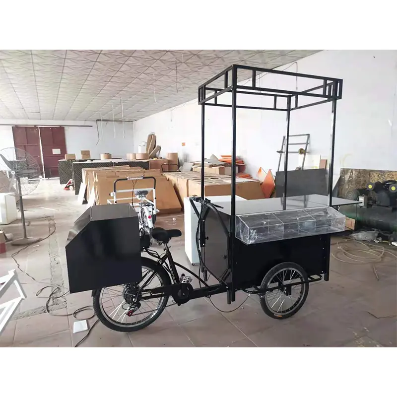 इलेक्ट्रिक कार्गो स्ट्रीट स्न्याक फूड बाइक